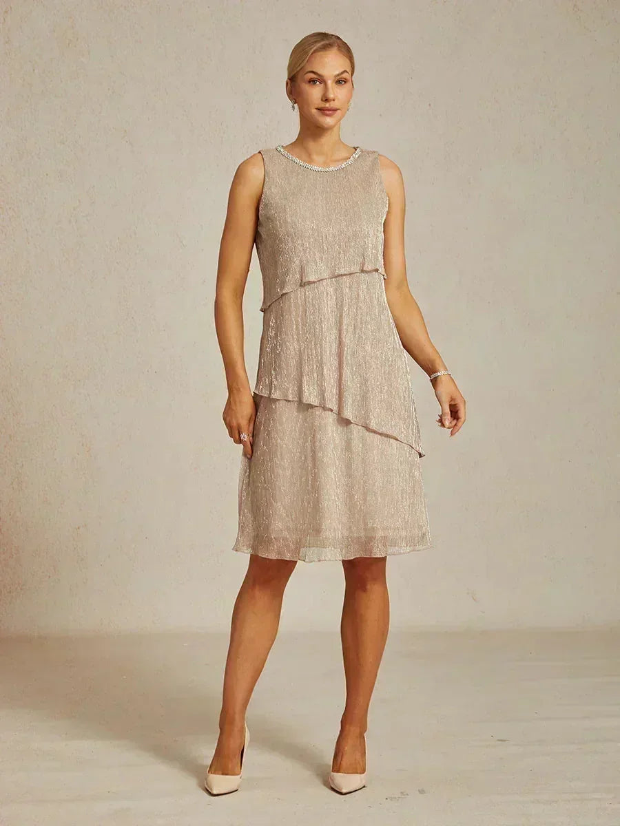 Metallic Pleated Chiffon Long Jacket Dress